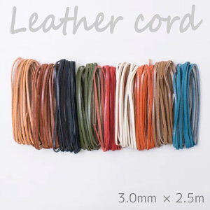 wA[g w{^jJU[R[h3.0mm×2.5mx Ȗ؃U[ vЂg vЂ v {v Ђ R@(񂹕i)@([։)