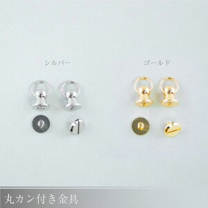 wA[g wۃJt 1Zbg(2)x obOp Vo[ S[h Jo we[v@(񂹕i)@([։)