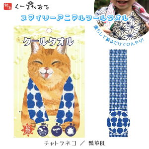 X}C[Aj} N[^I [`glR/Z\BL] COOL TOWEL ⊴N[^I ]˃N[^I UVJbg Lv o[xL[ AEghA@4009029-03@([։)