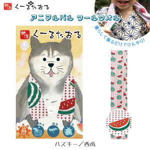 Aj}p N[^I [nXL[/Z] COOL TOWEL ⊴N[^I ]˃N[^I UVJbg Lv o[xL[ AEghA@4009021-01@([։)