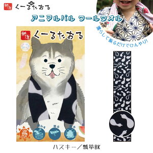 Aj}p N[^I [nXL[/Z\BK] COOL TOWEL ⊴N[^I ]˃N[^I UVJbg Lv o[xL[ AEghA@4009021-03@([։)