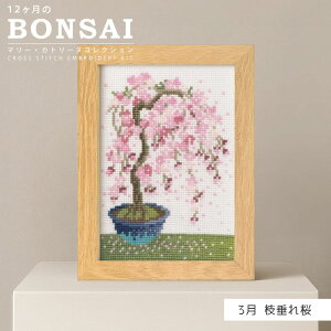 SSԒ|Cg10{!hイLbg 12BONSAI 3 } IpX@7614@(񂹕i)@([։)