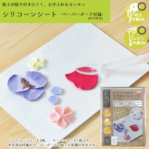 VR[V[g 2g -y[p[{[h(̂t)t- pWR padico WOK SyOK nhCh Ntg@403339@(񂹕i)@([։)