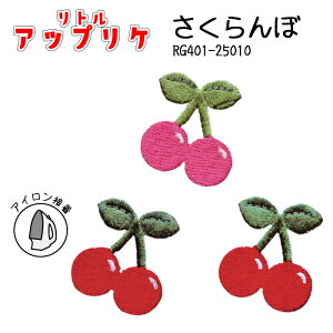 gAbvP@ځ@RG401-25010@(񂹕i)@([։)