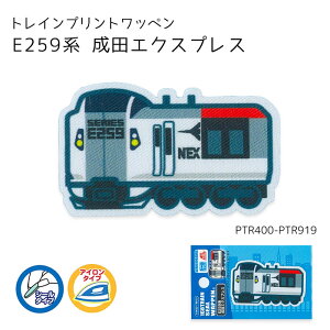�y�}���\�����ԃN�[�|���z�z��!�z�g���C���v�����g���b�y�� �uE259�n���c�G�N�X�v���X�v�@PTR400-PTR919�@(���񂹕i)�@(���[���։�)