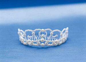 pi~ |Lbg EFfBO sAANZT[ eBA   @4496@(񂹕i)@([։)