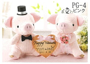 pi~ |Lbg ԁ[ sN@PG-4@(񂹕i)@([֕s)