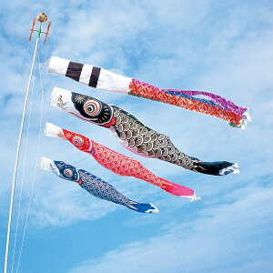 ܌ ̂ڂ ̂ڂ p  Xp[N |[t tZbg Iׂ 3m 4m Ɩ O  V G i I ڋʏi  lC LO 734304