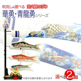 選べる 鯉のぼり こいのぼり 五月 脇飾り 端午の節句 室内用 マンション 華勇 青龍勇 兜 染無し 家紋 名前 送料無料 初節句 コンパクト ミニ 新作 秀光 限定品 特選 目玉商品 買得 人気 ランキング C1321A