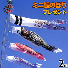 鯉のぼり こいのぼり 鯉のぼり ベランダ用 こいのぼり ベランダ用 マンション 取付金具付 川尻金龍デザイン 昇龍 送料無料 コンパクト ミニ新作 秀光 限定品 特選 目玉商品 お買得 人気 ランキング C6012