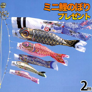 ̂ڂ ̂ڂ ̂ڂ x_p ̂ڂ x_p }V X^ht KfUC   RpNg ~jV G i I ڋʏi  lC 