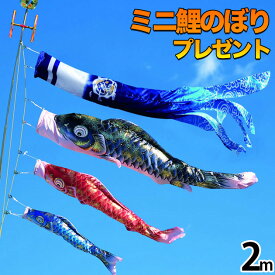 鯉のぼり こいのぼり 鯉のぼり ベランダ用 こいのぼり ベランダ用 マンション スタンド付き 龍光 桐箱付き 送料無料 コンパクト ミニ新作 秀光 限定品 特選 目玉商品 お買得 人気 ランキング C6042