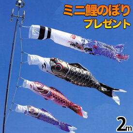 鯉のぼり こいのぼり 鯉のぼり ベランダ用 こいのぼり ベランダ用 マンション スタンド付き 川尻金龍デザイン 昇龍 送料無料 コンパクト ミニ新作 秀光 限定品 特選 目玉商品 お買得 人気 ランキング C6522