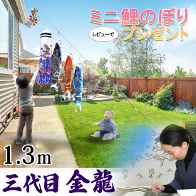 鯉のぼり こいのぼり 矢車付 簡単設置 省スペース 駐車場 ガレージ 移動らくらく コンパクト ガーランド 庭デコ にわデコ にわ鯉 庭鯉 染無し 名前染 家紋染 三代目金龍 昇龍 1.3m 1.5m ミニ 目玉商品 C8031