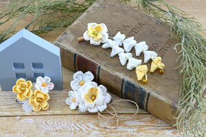  ܂ݍ׍H nhCh U { ܎O l Ǝ  uC_ a   RT[W 񂴂  a я w Z w 킢 E501