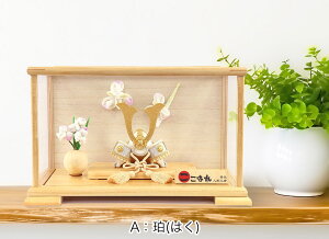 ܌l` 5l`  2025N  ߋ  RpNg ~j P[X V G i ڋʏi    lC LO P92225