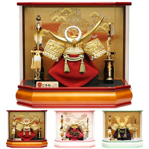 Iׂ ܌l` 5l` ɒB 㐙  Z 2025N  ߋ  RpNg ~j P[X V G i ڋʏi JbRCC   lC LO P98207