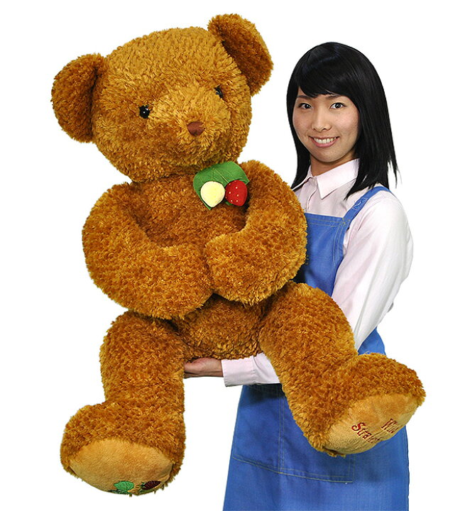楽天市場】【N151】ぬいぐるみワイルドストロベリーベア― ブラウンLL 