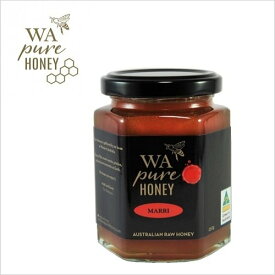 【送料無料!】WA Pure Honey　マリーハニー　MARRI HONEY（TA35+）250g