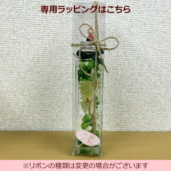【ムーミン】ハーバリウム【花ローズバラフラワーハーバリウム誕生日プレゼント女子贈り物芳香剤可愛いいい匂いいい香りアロマギフト景品インテリア結婚祝女お香癒しグッズきれいリトルミィスナフキン北欧インテリアデュフューザー花瓶】