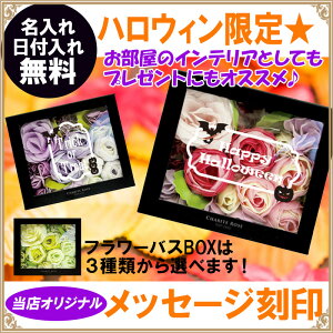 nEB bZ[W  t[{bNXy  z[p[eB[  CeA  AC oXMtg v[g  Mtg 蕨 o KN  oC C