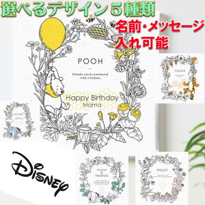  bZ[W pl v[ fBYj[ ܂̃v[ { y dsny-2011-13yCeA G A[g  [   disney 蕨  lC v[g Mtg v