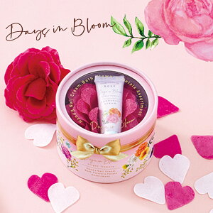 Days in Bloom fCYCu[ bright flowers u[~Ov`Mtg [Yy{fBPA  oXObY bNX a v[g q 蕨 Mtg Ԃ   