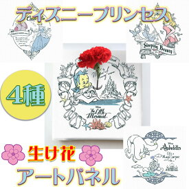 ディズニープリンセス IKEBANA 生きてるインテリア カーネーション【壁かけ インテリア ウェルカムボード 記念 ボード おしゃれ ディズニー ディズニー好き 部屋 玄関 フォトフレーム 贈り物 子供部屋 ギフト 彼女 祝 女性 ボード 一輪挿し 結婚祝い】
