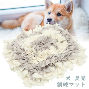 V  L Pѕz ^s kop W͌ XgX H΍ YYR013y킢 q qL QSn Mtg lC ~  xbg   CeA LD D lR C