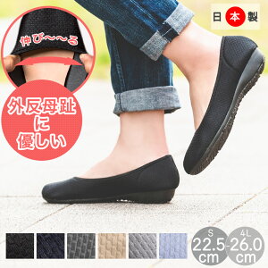 y550~OFFN[|ΏہzpvX ɂȂ ɐL Xgb` {  傫TCY O  y y EhgD fB[X V[Y C v`v ₷ ubN