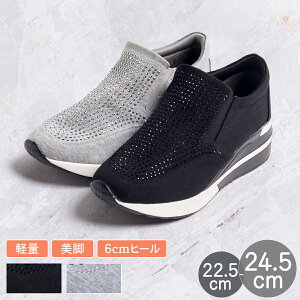 y15%OFFN[|ΏہzyXb| Xj[J[ fB[X  6cmq[ TChSA r y Xgb` S CXg[ 22.5cm`24.5cm  O[ ɂ