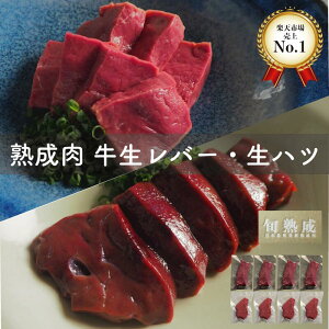n o[ nnch јa800g n c ̂ꋍo[yHsEMpz nc Y z Mtg p BBQ 蕨 p Y a {n | G