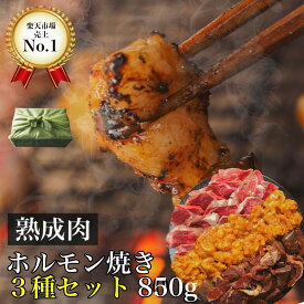 熟成肉 発酵熟成 焼肉 ホルモンミックス 6人前850g BBQ セット 牛肉 豚肉 シマチョウ ハラミ ホルモン焼 熟成ホルモン ギフト 自宅用 国産 和牛 大麦豚 旬熟成 旨味 エイジングシート フードテック 特許