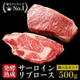 選べる 熟成牛サーロイン リブロース 500g 熟成肉 牛肉 ステーキ 切り落とし 国産 和牛 BBQ ギフト 贈り物 自宅用 焼肉