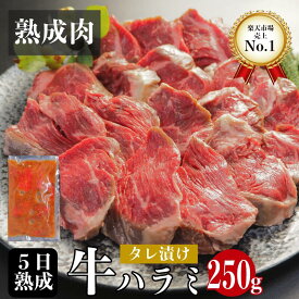 熟成肉 ハラミ 発酵熟成牛 タレ漬け250g サガリ 焼肉 BBQ 旨味3倍 ギフト 贈り物 自宅用 国産 和牛 旬熟成 公式 エイジングシート フードテック 特許 お徳用 業務用 【お一人様3点まで】