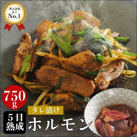 発酵熟成タレ漬けホルモン 750g レバニラ ニラレバ レバニラ記念日 熟成肉 豚肉 ハラミ ホルモン焼 熟成ホルモン ギフト 贈答用 BBQ 贈り物 自宅用 国産 和牛 大麦豚 旬熟成 旨味 エイジングシート フードテック 特許