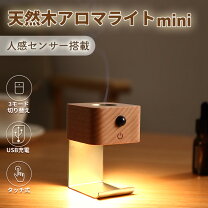 楽天市場】BRUNO ノスタルアロマランプ ダークウッド BOE028-DW BOE028 