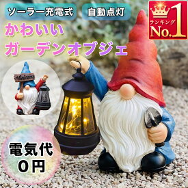 ガーデンオブジェ こびと 小人 ソーラーライト 妖精 精霊 庭 ガーデンライト 屋外 置物 ライト取り外し可能 自動点灯 自動消灯 ガーデンオブジェ インテリア かわいい 雑貨 オーナメント インテリア エコ 省エネ 芝生 花壇 店舗 駐車場 クリスマス サンタ A165A195