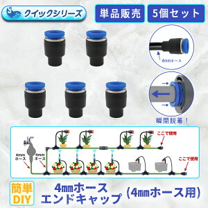 GhLbv 4mmz[Xp NCbN 5Zbg p B081