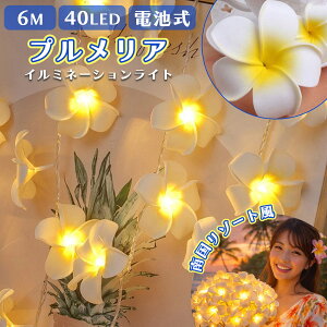 �v�������A �C���~�l�[�V�������C�g 6m 40LED �d�r�� IP65�h�� �펞�_�� �_�� 2�p�^�[�� �t�����[���C�g �n���C�A�� �썑 �K�[�����h ���� ���O �C�x���g �X�ܑ��� �C���e���A �ԏ��� A264
