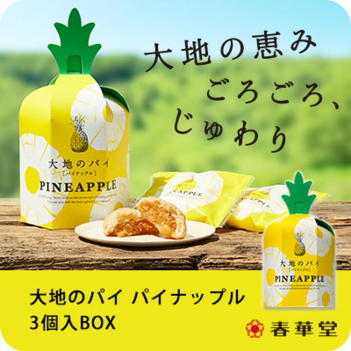 楽天市場 春華堂公式 大地のパイ パイナップル 3個入box パイナップル お菓子 焼き菓子 お中元 夏ギフト プチギフト 洋菓子 個包装 お礼 かわいい スイーツ ギフト 手土産 挨拶 静岡 静岡土産 お土産 小分け ギフト 熨斗 ギフト対応 常温便 うなぎパイの春華堂 楽天