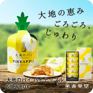 ytؓzñpC pCibv 5BOX/pCibv َq Ăَq 䒆  ăMtg v`Mtg@mَq   킢@XC[c Mtg yY A É É