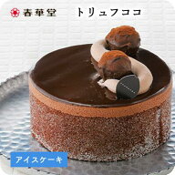 〈送料込み〉【春華堂公式】アイスケーキ(トリュフココ)／濃厚なチョコレートをリッチに使った大人のアイ…
