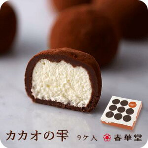 【春華堂公式】当店リピート率NO.1 カカオの雫9ヶ入|バレンタイン ホワイトデー プチギフトお菓子 洋菓子 スイーツ チョコレート チョコ チョコレート菓子 カカオの ココアの 生クリーム