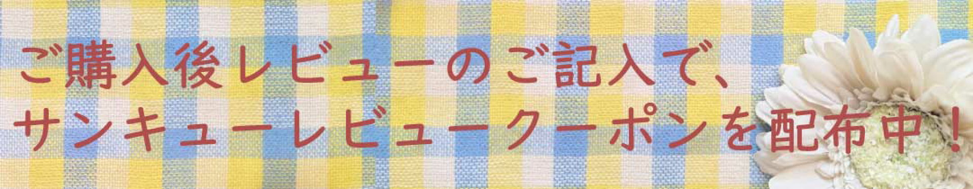レビュー