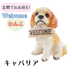 Welcome񂱃LoA K[fI[ig u GNXeAIuWF K[fG K[fIuWF K[fjOG fBXvCG }XRbg ^  A  Ck h