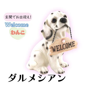 Welcome񂱃_VA K[fI[ig u GNXeAIuWF K[fG K[fIuWF K[fjOG fBXvCG }XRbg ^  A Č Ck h