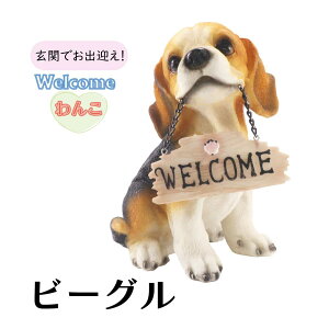 Welcome񂱃r[O K[fI[ig u GNXeAIuWF K[fG K[fIuWF K[fjOG fBXvCG }XRbg ^  A  Ck h 