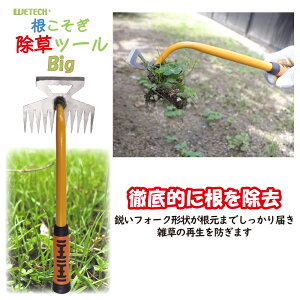  c[  LwbhyS35cm^d204gzG XeX y |   ނ ^wbh