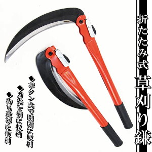 ܂肽ݎ 芙 / bN AEghAȂǎ^ѕ֗ ܂肽݊ J} 肩 n200mm